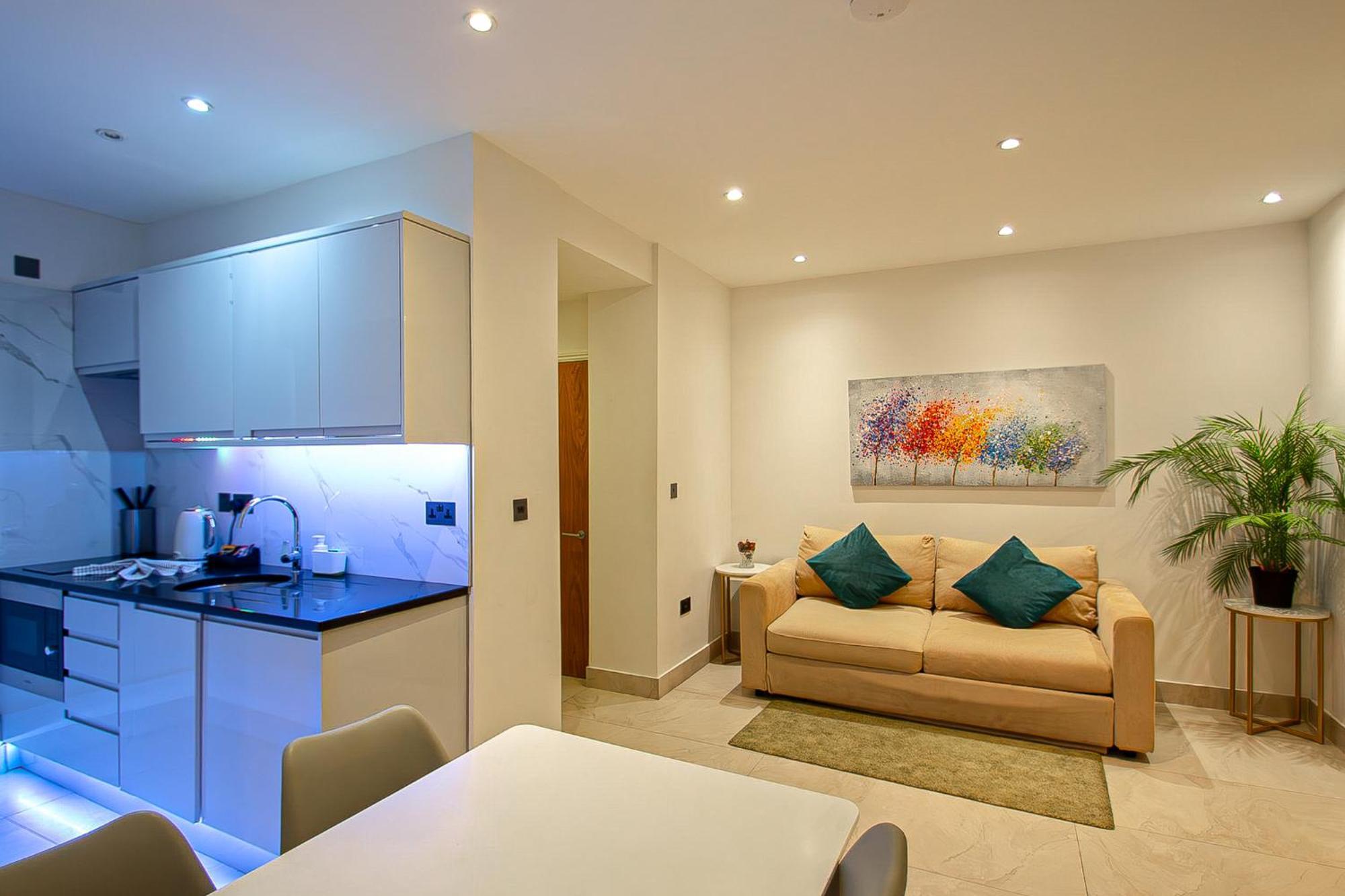 Hyde Park Superior Apartment